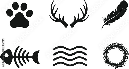 Feather silhouette illustration, decorative bird plume icon isolated, elegant nature element design for logo, tattoo, branding, minimal graphic concept