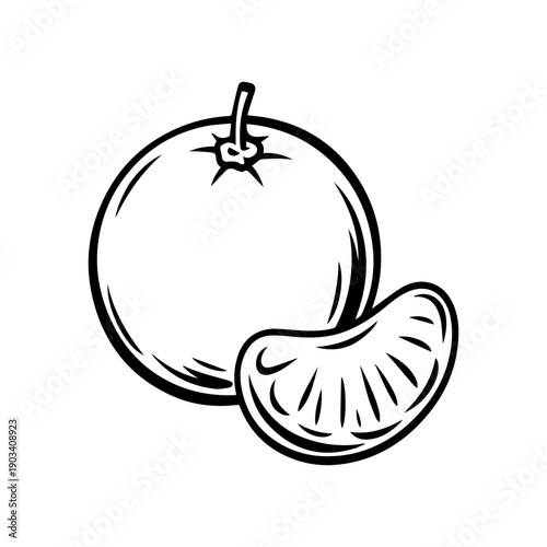 Tangerine Sketch Vector Illustration of Fresh Citrus Fruit and Peeled Segment
