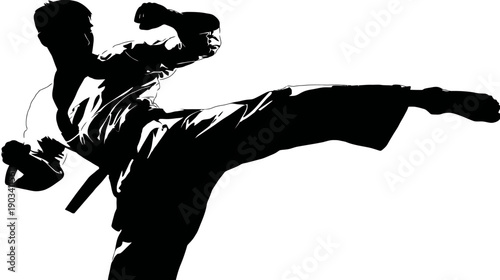 Silhouetted figure in martial arts uniform mid-kick, executed with power, on white background