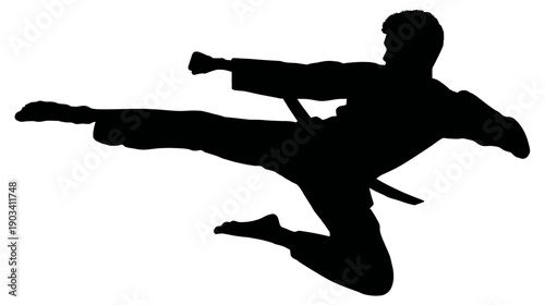A silhouette of a martial artist in action. He executes a flying kick and a punch