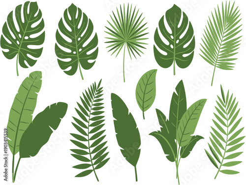 Vector set of green leaves