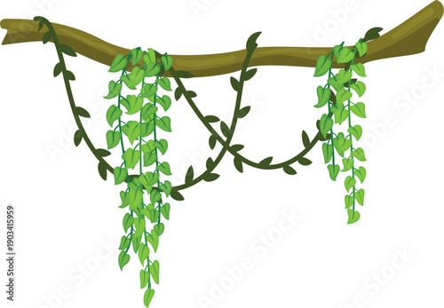 Tropical tree with hanging green vine cartoon icon