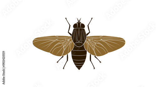 A stylized illustration of a fly with brown wings and a dark body against a white background