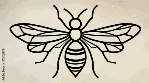 A stark, minimalist illustration of an insect with intricate wing details on a textured background