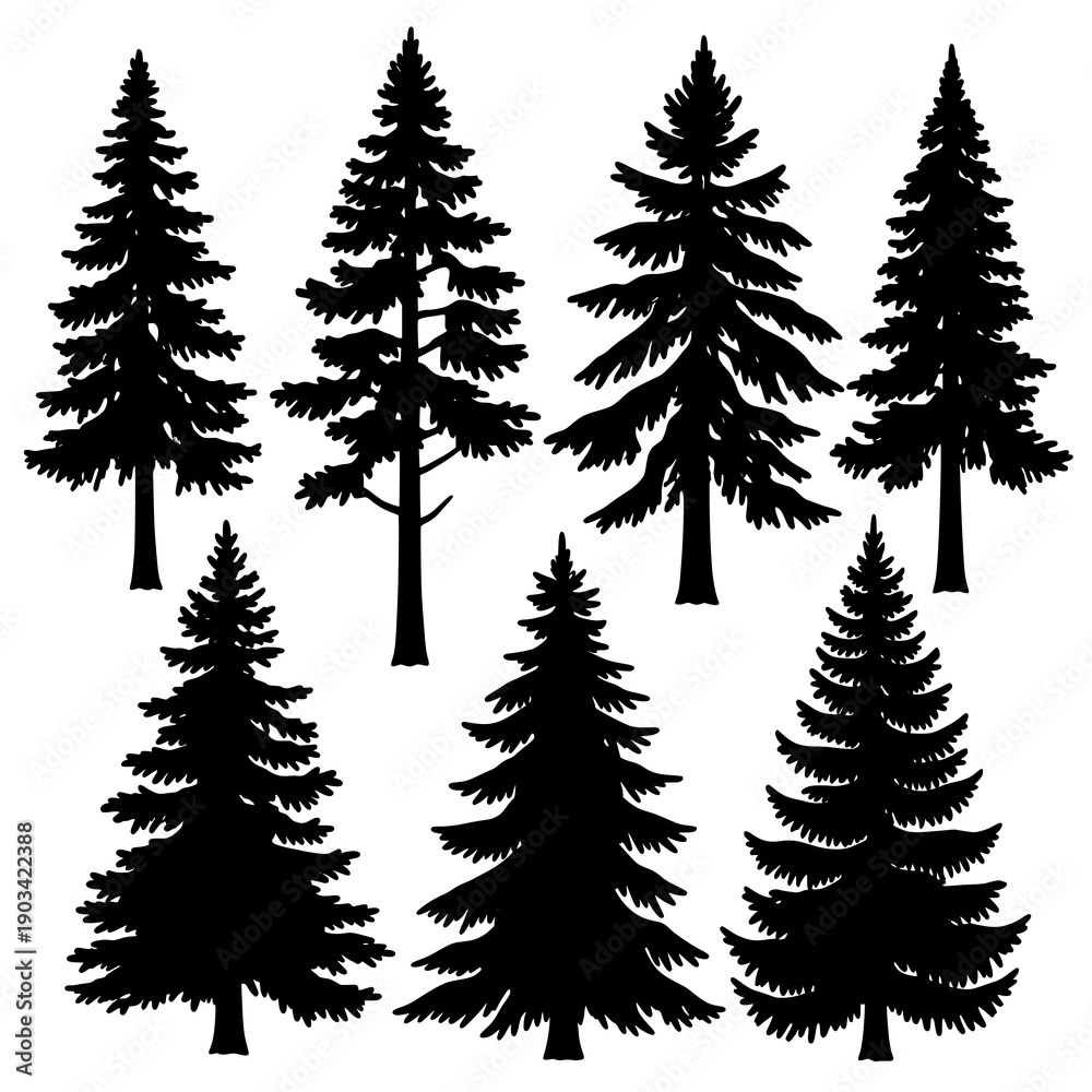 Obraz premium Tall Pine and Fir Forest Vector Illustration