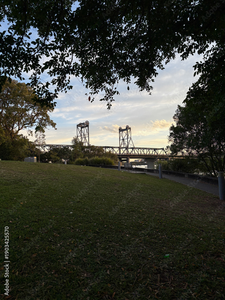 Fototapeta premium Ryde Bridge view framed by tree, Sydney, Australia.