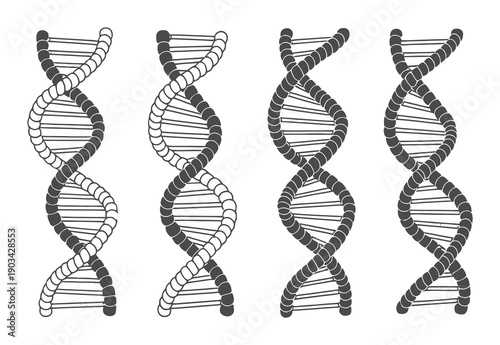 Four stylized DNA double helix structures in a row