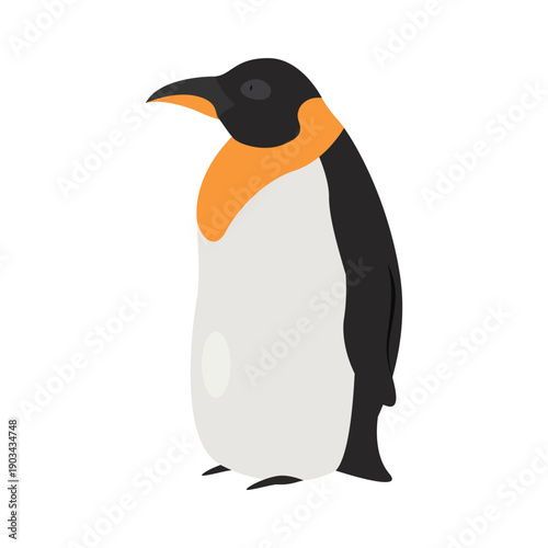 Emperor penguin bird. Arctic and antarctic animals, snow fauna cartoon vector illustration