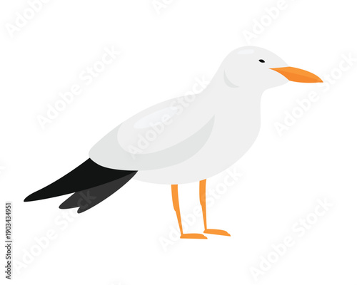 Arctic tern bird. Arctic and antarctic animals, snow ocean fauna cartoon vector illustration
