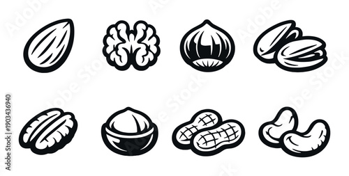 Black and white nut illustrations: almond, walnut, hazelnut, pistachios, pecan, chestnut, peanuts, cashews