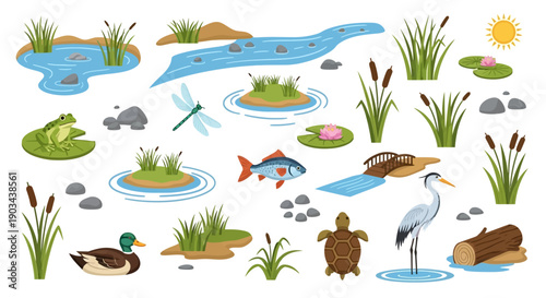 Set of various wetland and pond elements with animals, plants, and water features.