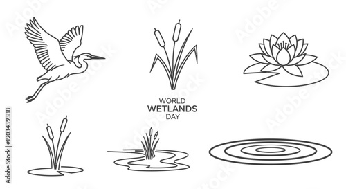 World Wetlands Day concept with line art illustrations of a heron, cattails, and water lilies, representing wetland ecosystems.