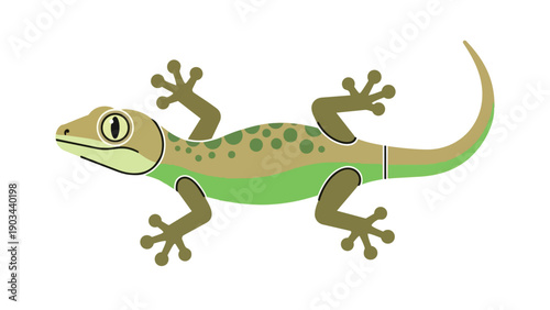 Vibrant geometric gecko illustration on clean white background, digital art rendering of a captivating reptilian creature