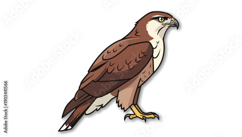 Modern cartoon illustration of a powerful brown raptor, showcasing its majestic profile, keen predatory gaze, and striking plumage in a clear design