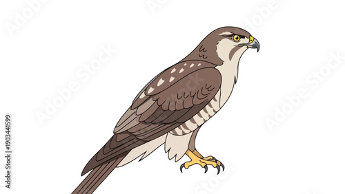 A striking animated depiction of a majestic raptor featuring intricate brown and white plumage a keen eye and formidable talons symbolizing strength