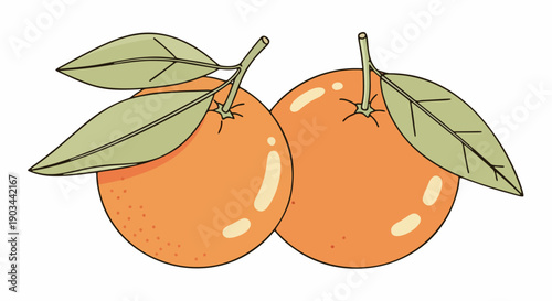 Mandarin oranges with leaves vector illustration