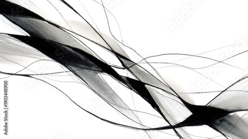 Abstract digital art piece with a black and white color scheme. it appears to be made up of multiple lines and curves that create a sense of movement and depth.