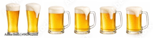 Beer Glass Illustration Set with Foam 6 Types of Pint and Mug
