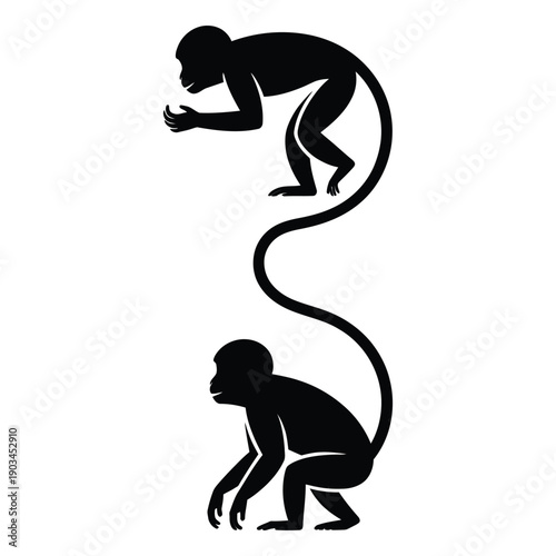 Black vector monkey silhouettes, two primates with long tails, one standing, one sitting, isolated on white