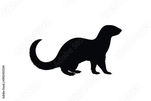 Ferret silhouette profile view isolated on white background curious mammal animal shape for wildlife design