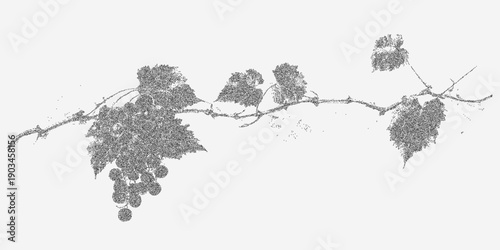 Silhouette of a grape branch with subtle grain overlay, speckled dust and delicate stains for a rustic vintage botanical look.
