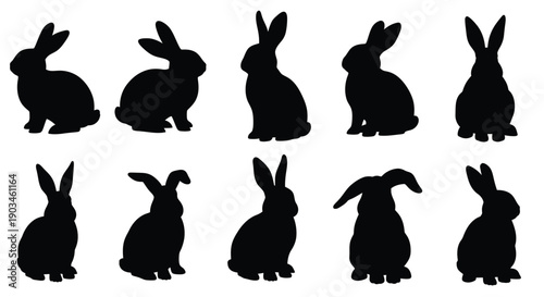 Collection of Rabbit Silhouettes bunny animal