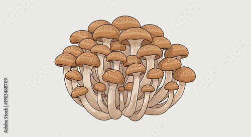Top view of fresh brown shimeji mushrooms arranged as a cluster on a neutral background. Natural food ingredient image for cooking, recipes, nutrition, Asian cuisine, and healthy eating concepts