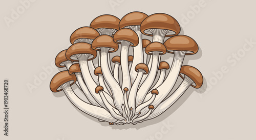 Top view of fresh brown shimeji mushrooms arranged as a cluster on a neutral background. Natural food ingredient image for cooking, recipes, nutrition, Asian cuisine, and healthy eating concepts