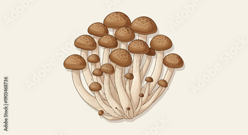 Top view of fresh brown shimeji mushrooms arranged as a cluster on a neutral background. Natural food ingredient image for cooking, recipes, nutrition, Asian cuisine, and healthy eating concepts