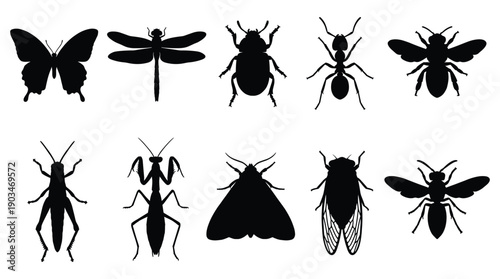 Collection of black insect silhouettes on white background