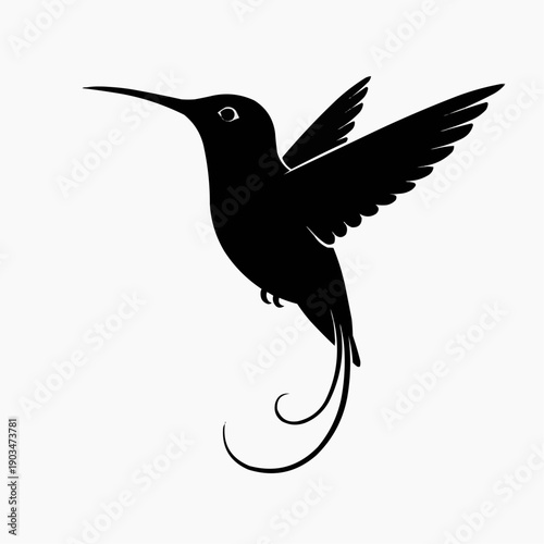 A striking black hummingbird in mid flight showcasing its long beak and tail feathers a beautiful silhouette