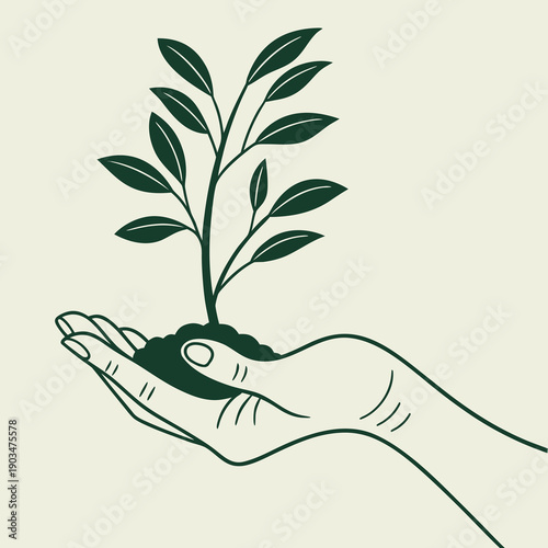 a plain solid off white or cream colored background fills the entire image offering a neutral and simple visual presentation