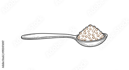 Quinoa grains in a spoon drawn in simple line art style  