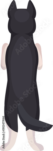 Husky back view. Pet standing. Cute animal