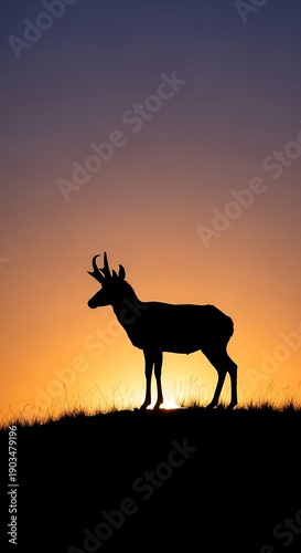 Silhouette of a pronghorn antelope on a hill at sunset.