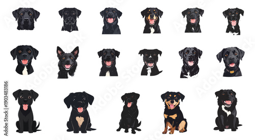 Happy black dog face set