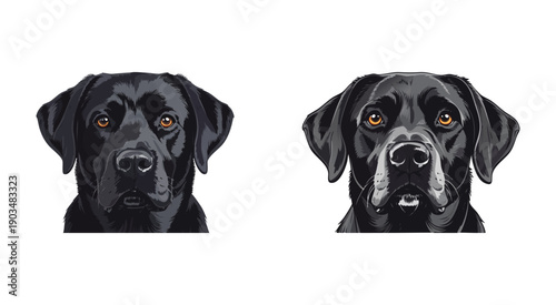 Black dog face collection
