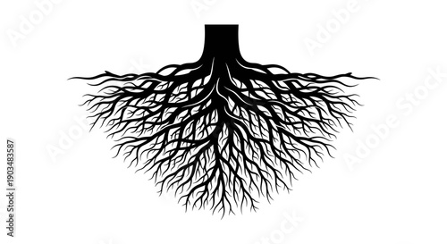 Detailed black silhouette of a tree's extensive root system spreading wide and deep against a white background.