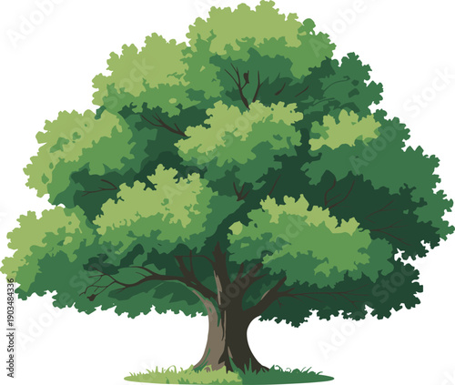 Lush green mature tree illustration isolated on white background, dense leafy canopy and strong trunk, botanical nature artwork, eco concept