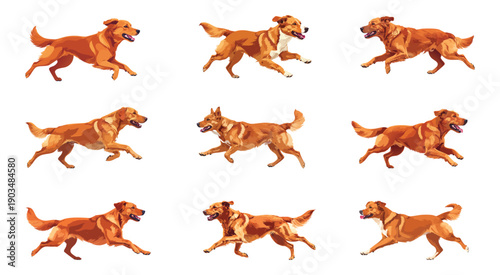 A dog in a red suit running in a running pose. Vector illustration.