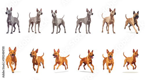 A set of illustrations depicting various saddle postures. Vector illustration.