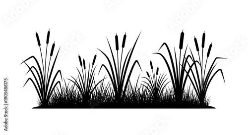Black silhouette of cattails and tall marsh grass illustration on a white background.