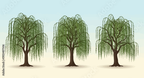 Three weeping willow trees with green foliage against a soft blue sky