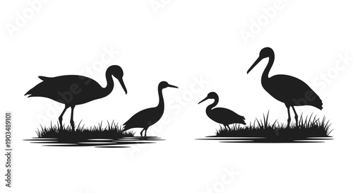 Silhouettes of storks and cranes standing in grass, elegant birds in natural habitat, vector illustration.