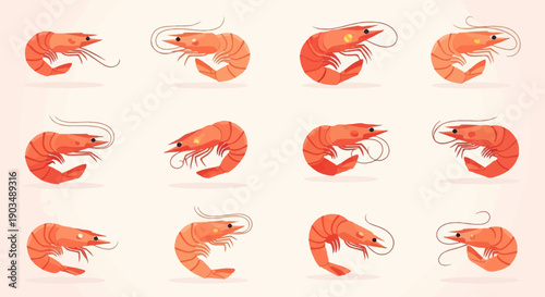 Twelve identically styled cartoon shrimp arranged in a grid