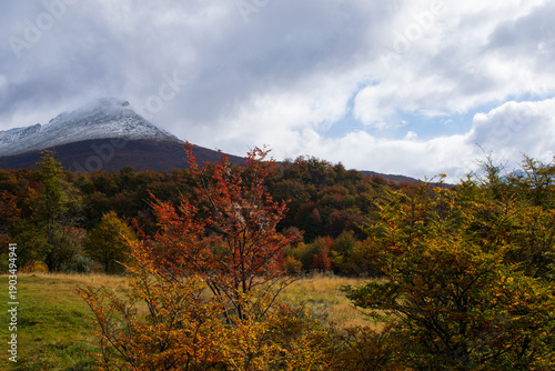 otoño en tierra del fuego