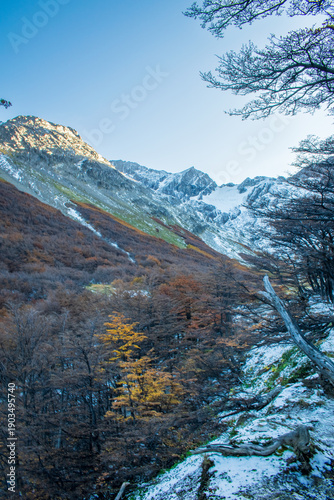 cerro martial