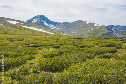 Wallpaper Mural Kyrgyz valley. Mountain Altai landscape. Russia Torontodigital.ca