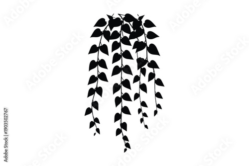 Hanging plant silhouette cascading leaves vine growth nature detail botanical home decor interior design element