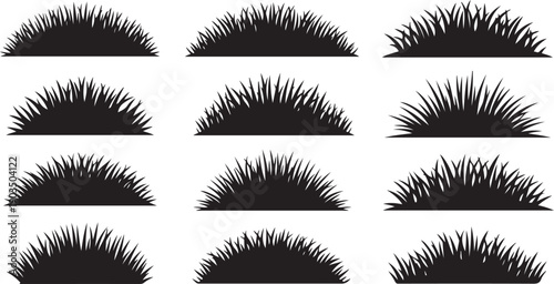 Collection of various false eyelash designs and styles isolated